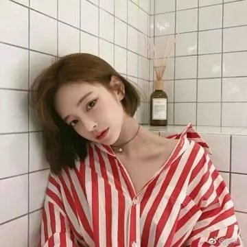 狗果定理 海报